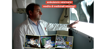 Clinica Veterinaria Tartarello