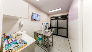 San Pio - Clinica Veterinaria