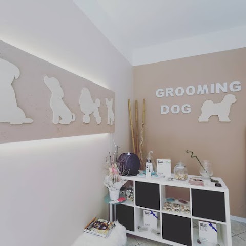 Toelettatura Grooming Dog di Davide Buriani