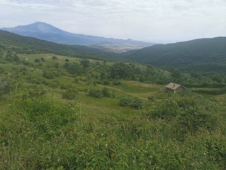 Rifugio Trearie