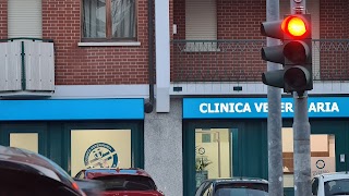 Clinica Veterinaria Borgarello - sede Moncalieri