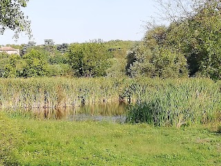 Parco Acquatico Point