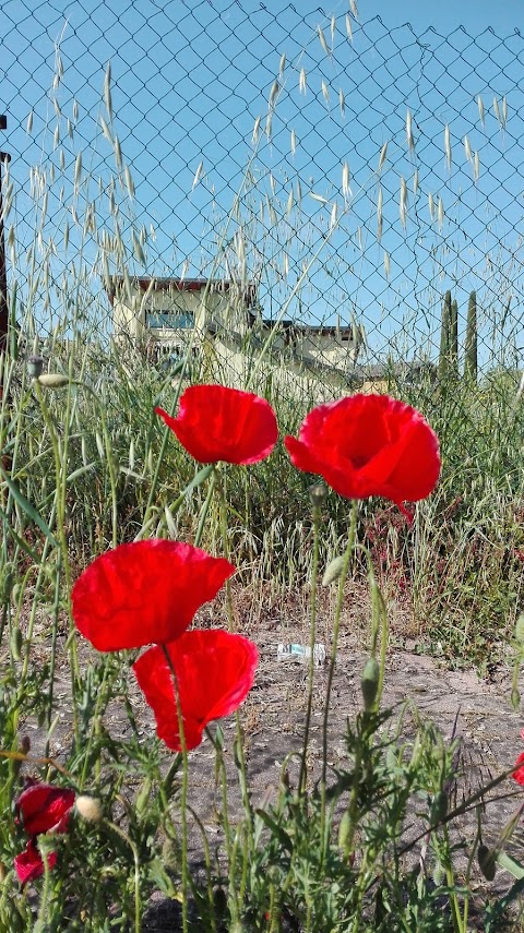 Famila Brescello