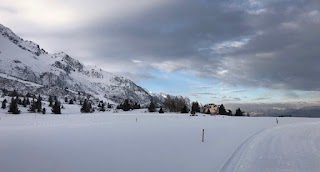 Passo del tonale