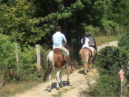 Agriturismo Il Corniolo