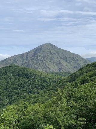 TOBBIO TEAM