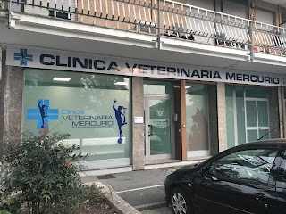 CLINICA VETERINARIA MERCURIO