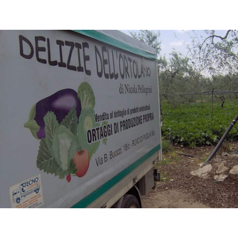 ortofrutta DELIZIE DELL' ORTOLANO