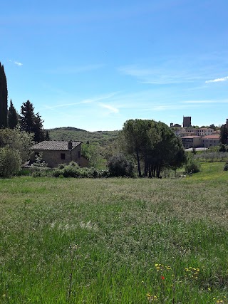 Castellina Chianti