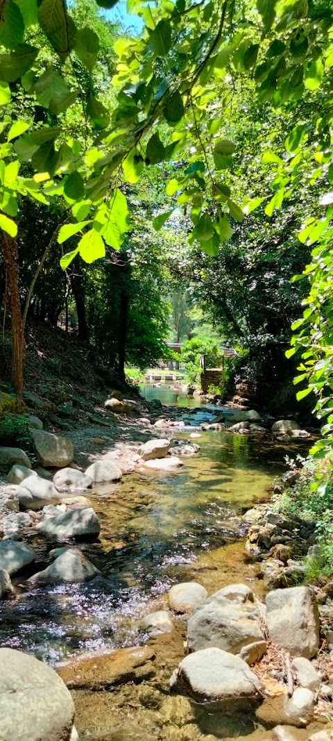 Centro visite Parco Nazionale delle foreste casentinesi, Monte Falterona e Campigna