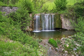 Rio Marano (sentiero CAI Marano / Rocca Pitigliana)