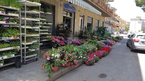 L'eden di Pintaudi