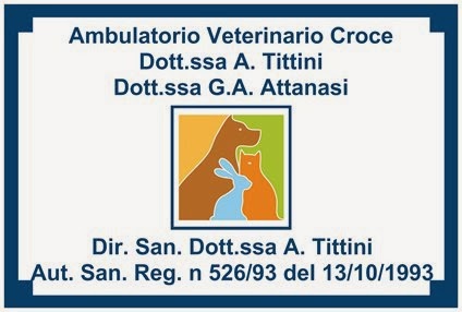 Ambulatorio Veterinario Croce