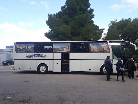 Selinunte Tour Agenzia di Noleggio Auto Autobus e Minibus Con Conducente Trapani