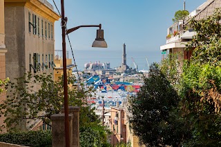 Sunny apartment over the harbor