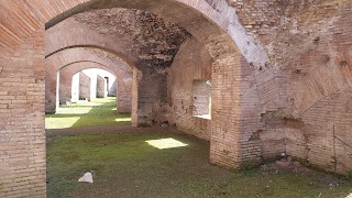 Area Archeologica del Circo Massimo