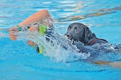 Acqua Dog DI Petracchi Maria Patrizia Pistoia