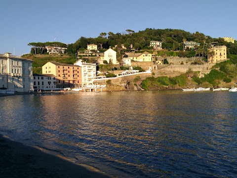 Teatro Arena Conchiglia