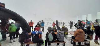 Il Camoscio dei Sibillini - Escursioni e Trekking