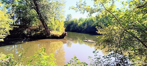 Oasi Bosco di Montorfano