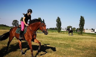 Quinto Equestrian Centre A.S.D. - Maneggio a Stradella