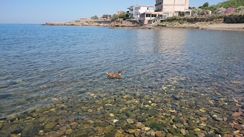 Piscina La Palme