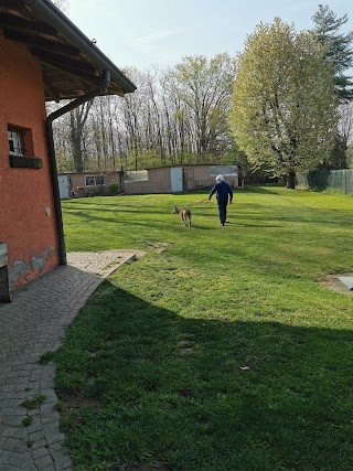 Allevamento Siberian Husky e Alaskan Malamute e Pensione per cani Casa Rimoldi Di Rimoldi Elio