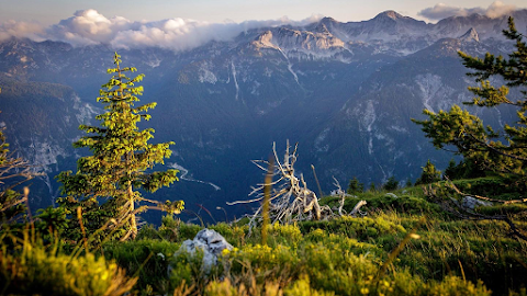 Bohinj ECO Hotel & Wellness