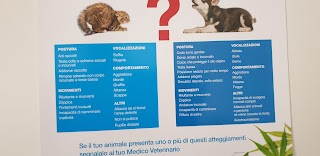 Ambulatorio veterinario associato DOtt Domenico Scordo e Dott Giulio Bignami