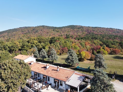 Agriturismo Al Selvadigo