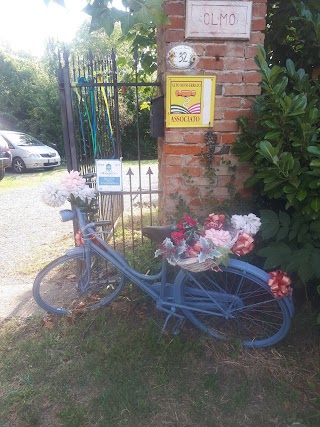 B&B Cascina Olmo