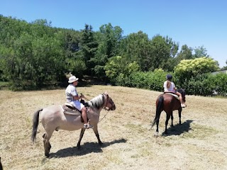 Centro Ippico "AMICO CAVALLO"