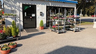 Flowers Shop