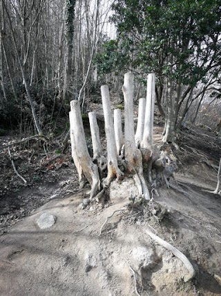 Sentieri Cacumenali del Monte Lonzina