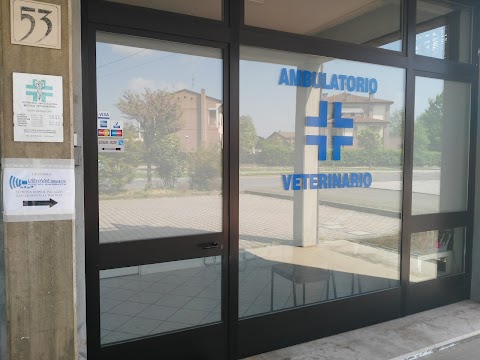 Ambulatorio Veterinario Dottoressa Forni