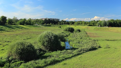 Oasi Torrente Guisa