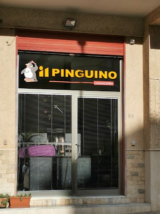 Lavanderia İl Pinguino