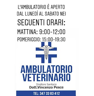 Ambulatorio Veterinario Dott. Vincenzo Pesce