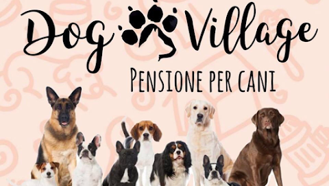 Pensione per Cani Varcaturo - Dog Village