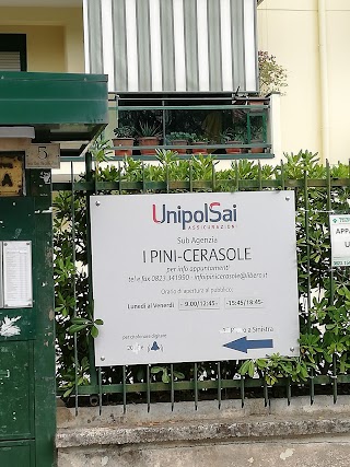 AGENZIA ASSICURATIVA UNIPOLSAI "I PINI" DI PIETRO CHIUSANO