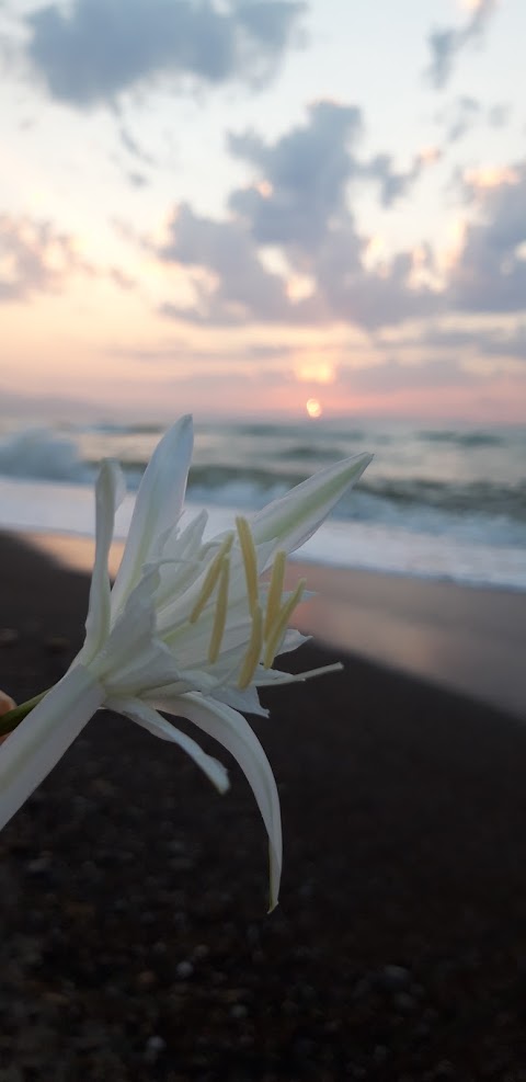 Spiaggia di contrada Cocuzzola