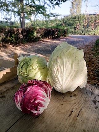 L'Orto Naturale