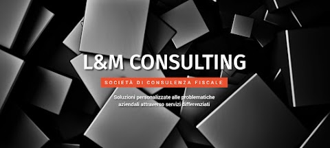 L&M Consulting