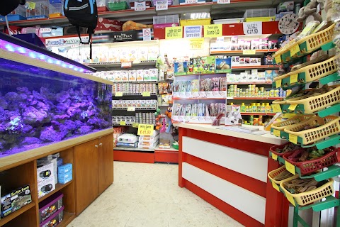 Iuvara Store
