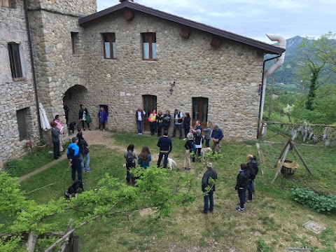 Pensione per Cani Arcobaleno Bologna