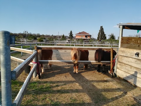 centro ippico Horse House asd