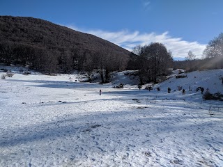 Prato Capito