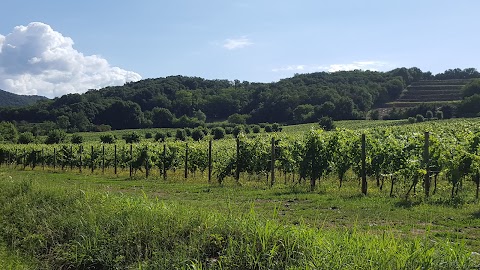 Collina Di Sant'Anna