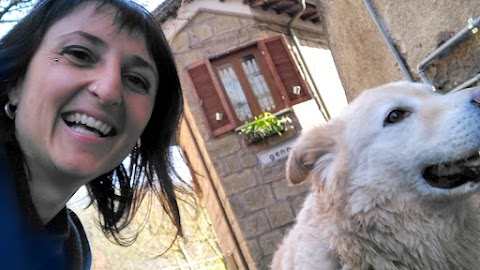 Asilo casalingo , Dog/Cat Sitter Educatrice cinofila a domicilio Francesca Nicolaci