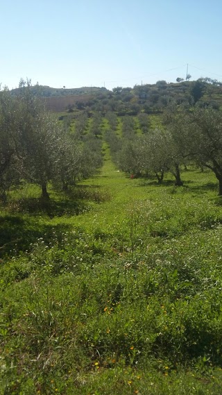 Orti di Sicilia